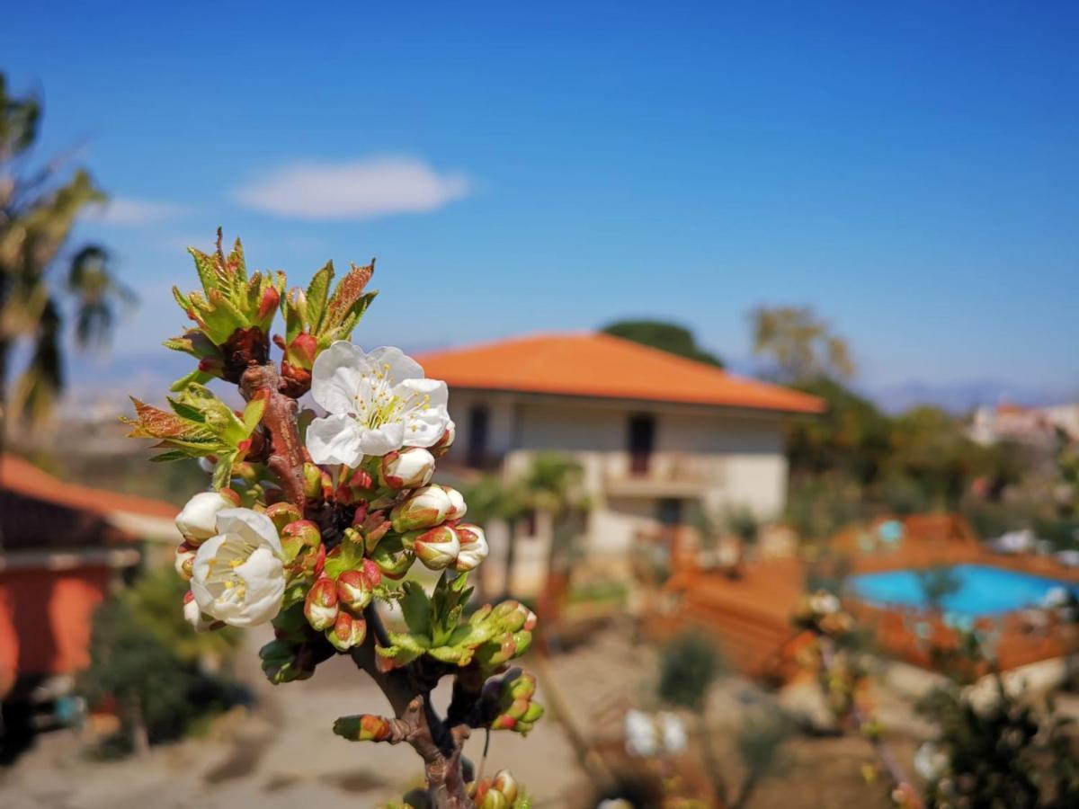 B & B Evergreen Corbara  Exterior photo