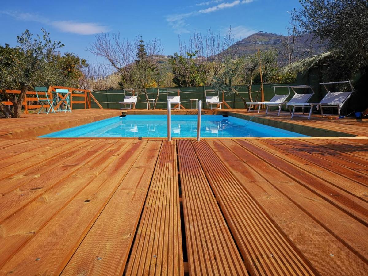 B & B Evergreen Corbara  Exterior photo